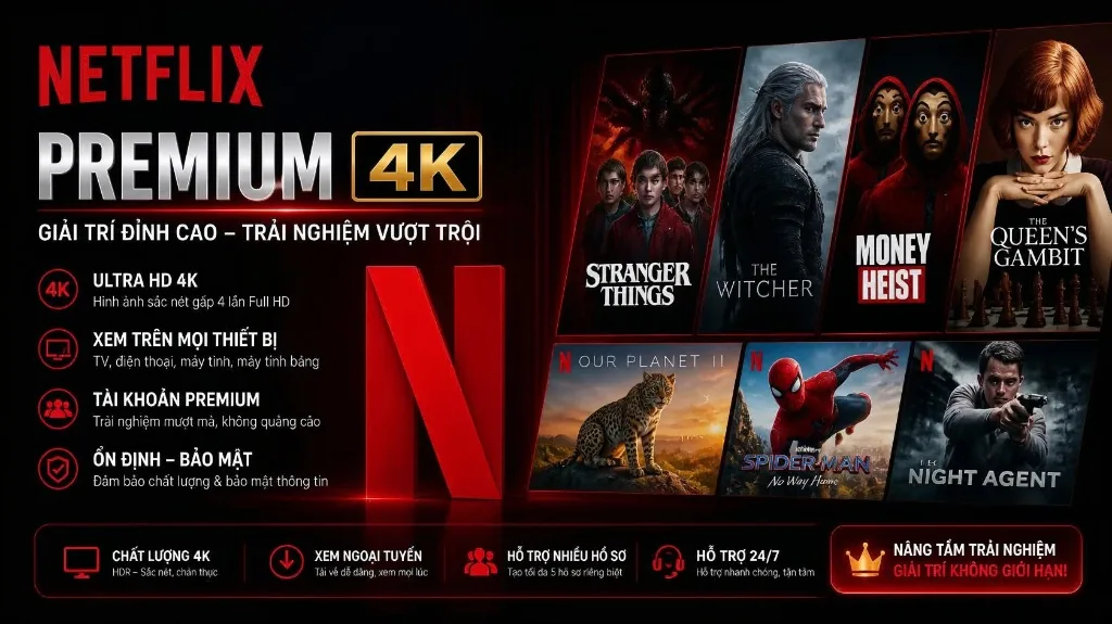 Netflix Premium 4K